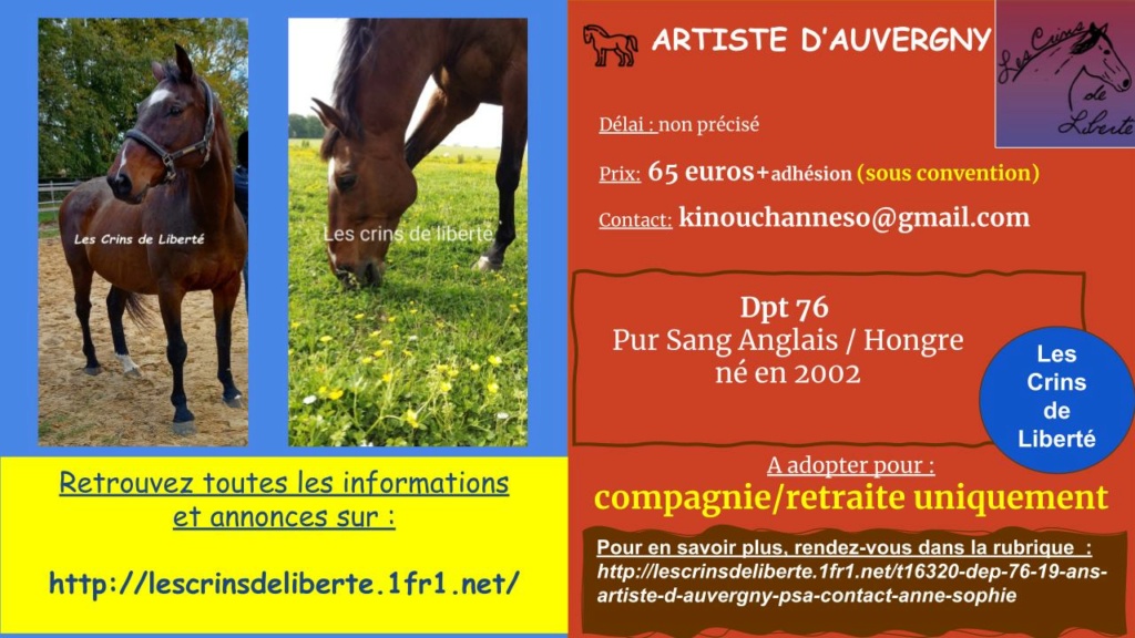 Dep 76 - 20 ans - ARTISTE D'AUVERGNY - PSA- Contact Chloé Artist12