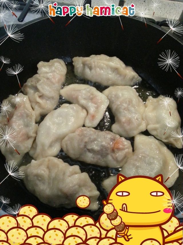 Misa chan pasticcia i bentucci - Pagina 2 Gyoza10