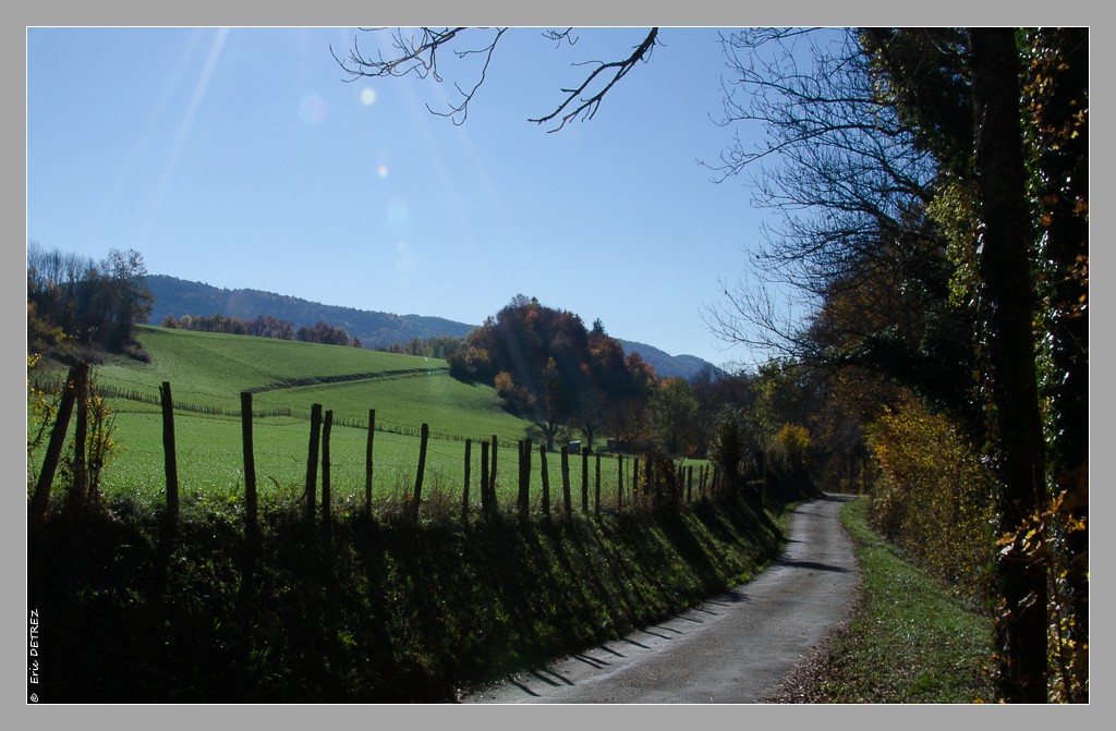 Le marais du Giroud en automne Dsc_0070