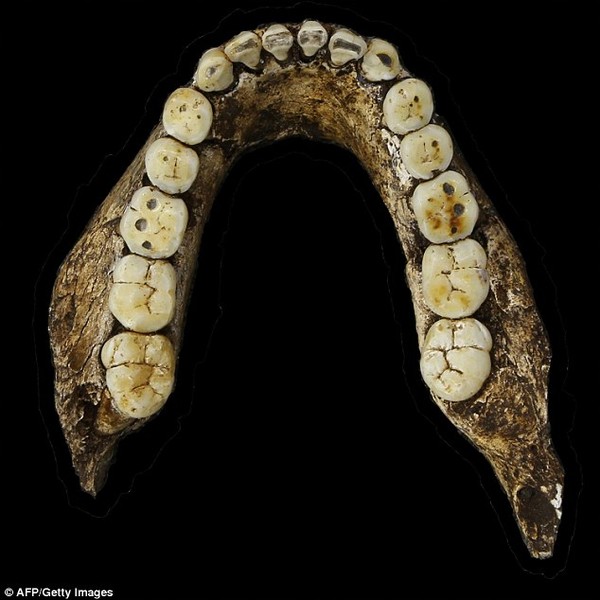Phát hiện chủng mới của tổ tiên loài người ở Nam Phi 15091014