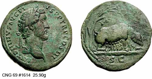 Antoninus Pius SUITE Ant28510