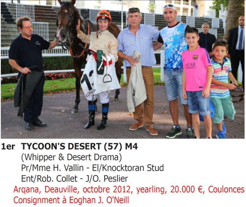 Le compteur de victoires : 2651, 31/08/15, Tycoon's Desert Op10