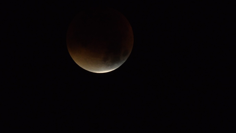 Photo eclipse de lune 2015 Dsc00610