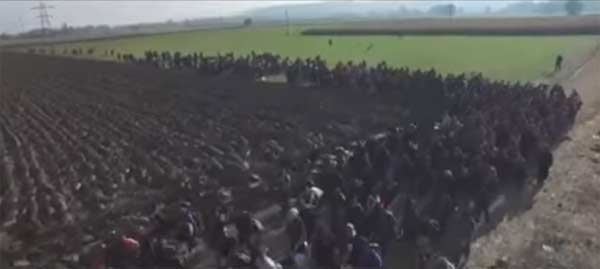 La vidéo anti-migrants qui buzze en Europe (A partager en masse) . Immigr10