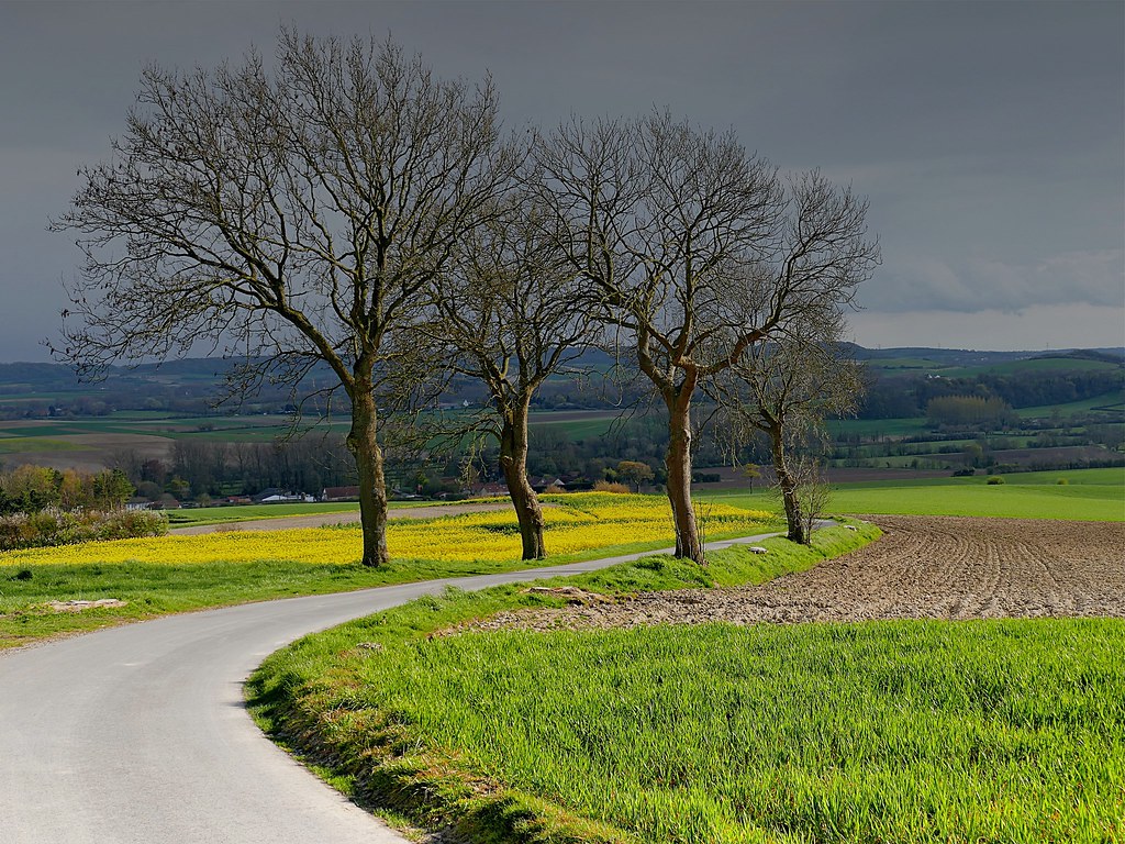 concours photo "LA ROUTE HORS DE LA VILLE" Aout 2021 40515111