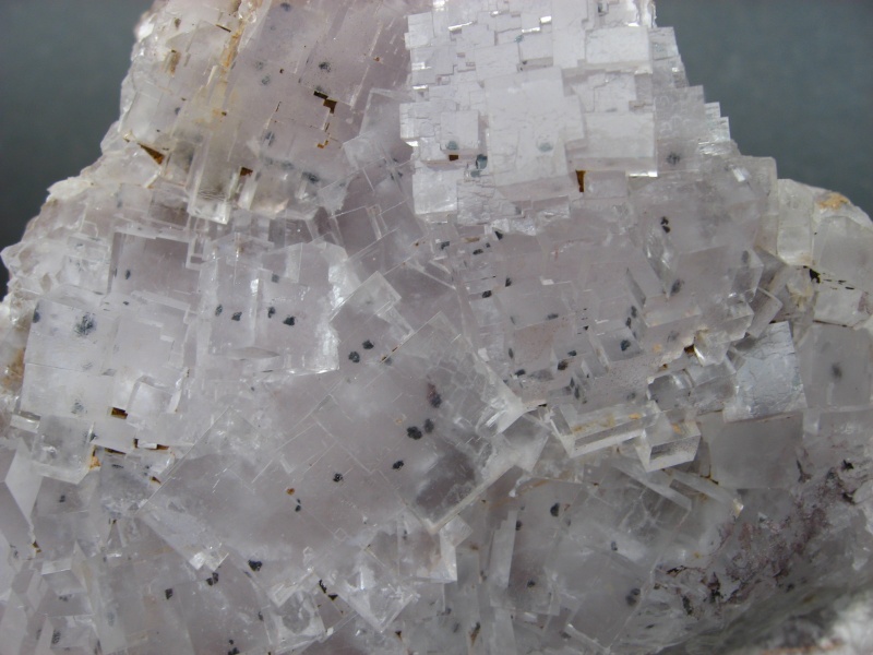Différentes fluorites de la mine CLARA 00816