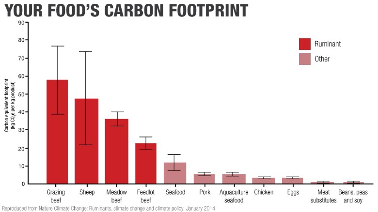 Climate Change Proponents Want to Take Away Your Hamburgers 15092510