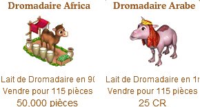 Dromadaire Arabe / Dromadaire Africain / Dromadaire d’Halloween => Lait de Dromadaire Sans_t53