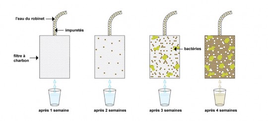 Les différentes techniques pour rendre l'eau potable :  ( nouveautés) 63599410