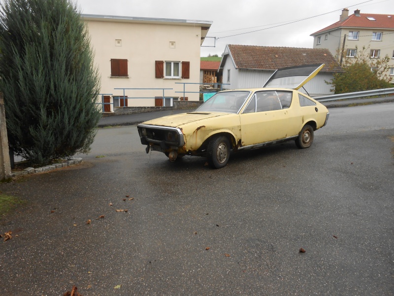 " bouton d'or " bientôt à la maison ! 17_26111