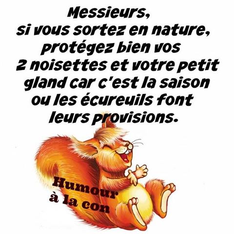 humour - Page 30 10357510