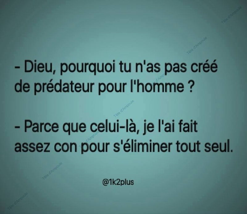 humour - Page 39 12115710