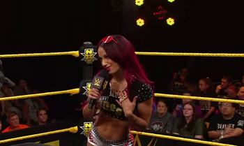 Sasha Banks & Paige vs Becky Lunch & Brie Bella Micro113