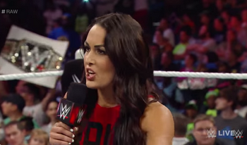 Paige vs Brie Bella Sans_t10