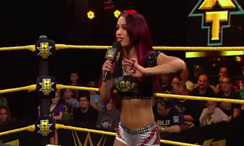 Sasha Banks & Paige vs Becky Lunch & Brie Bella Sasha_14