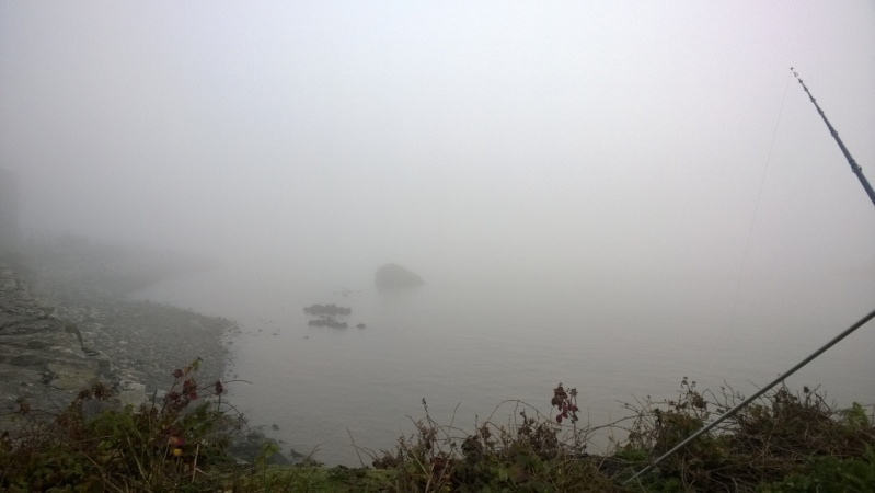 mostyn in the mist Wp_20121