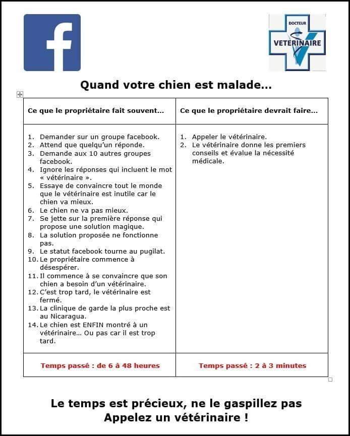 Réseau sociaux (FB/forum...) VS Vétérinaire 11218810