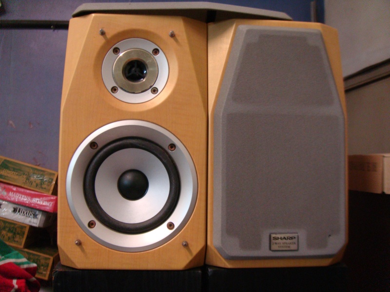 Sharp speaker(sold) Dsc02125