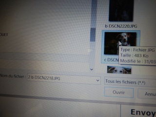 Comment poster une photo? 7_dscn15