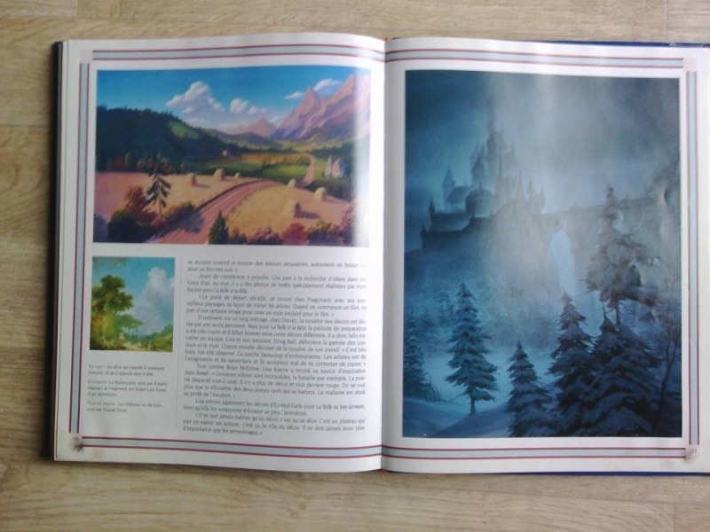 Les livres Disney - Page 17 11988410