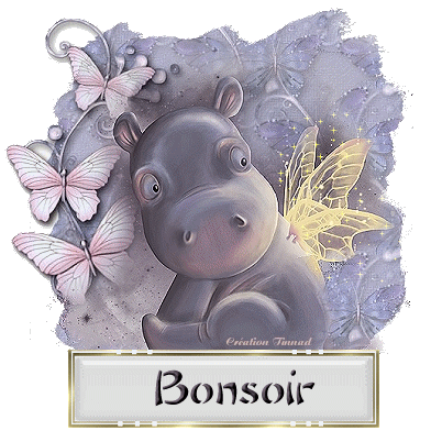 "Bonjour / Bonsoir" !!! - Page 22 E015ba11
