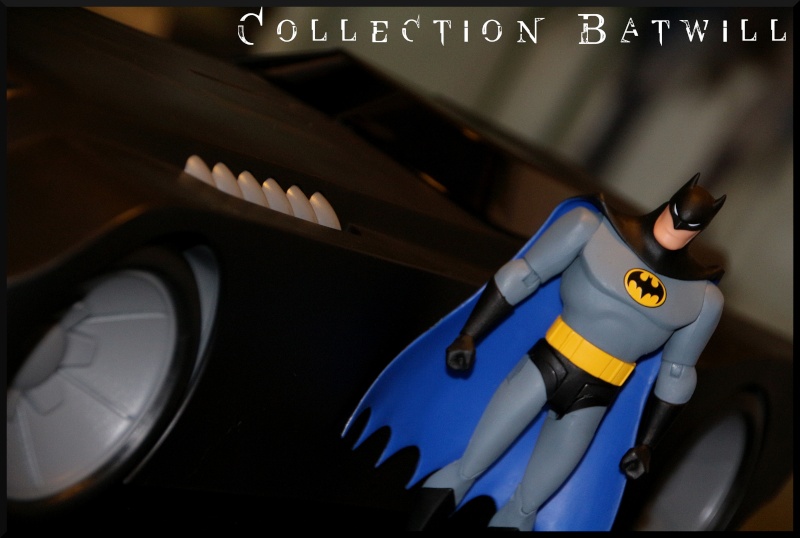 Ma collection batman  - Page 4 Img_5911