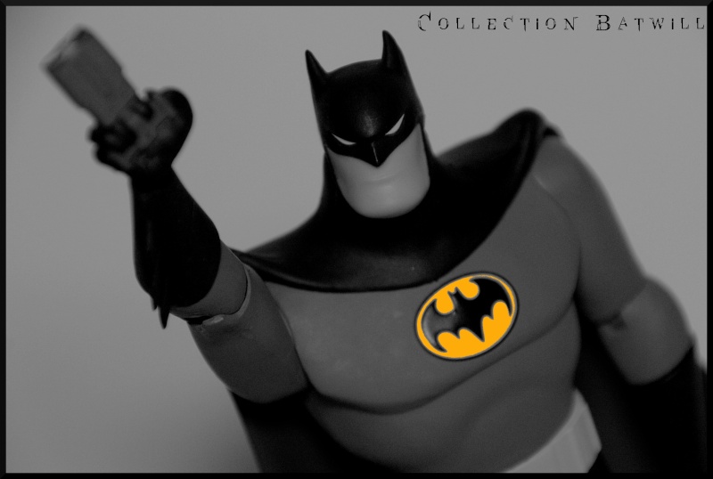 Ma collection batman  - Page 5 Img_5918