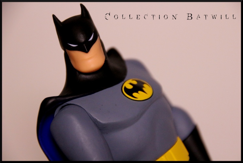 Ma collection batman  - Page 5 Img_5920