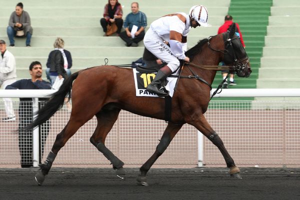 Vincennes - Concours - Prix Des Elites-Dimanche 27/09/15  F4680e12