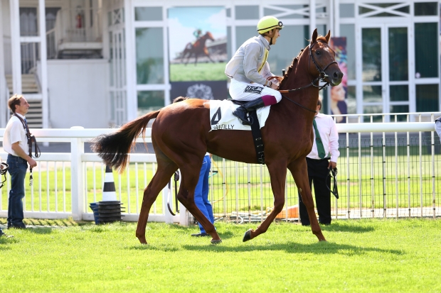 Longchamp- Quinté - Prix Du Nabob- Lundi 31/08/15 Samire10