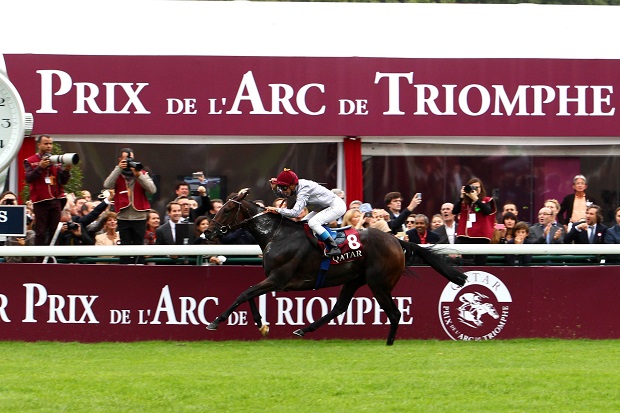 PRIX DE L'ARC DE TRIOMPHE 4/10/15 Treve-10