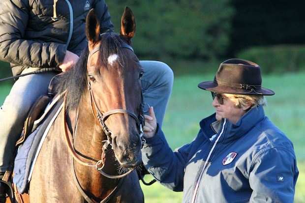 Carnet de pistes, Trêve à J-10 de l’Arc :“New Bay, je le crains”  Treve-11