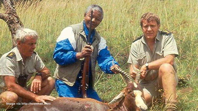 SAME LIBERALS WHO MOURNED FOR CECIL THE LION PRAISED NELSON MANDELA FOR HUNTING ANIMALS Nelson10