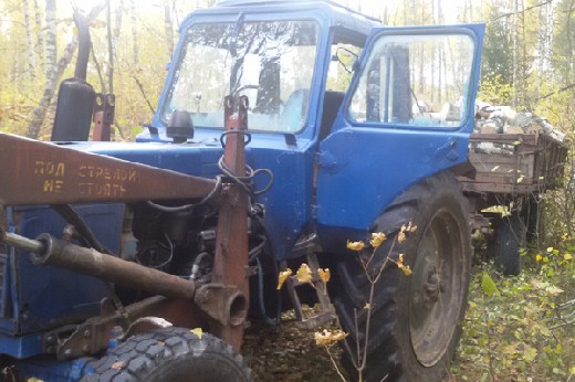 В Смоленской области обезвредили бригаду «черных» лесорубов 1116