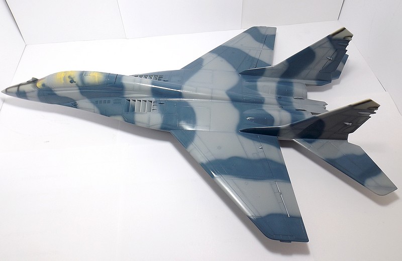  Mikoyan-Gourevitch MiG-29 UB au 1/32 - Page 2 Dscf2310