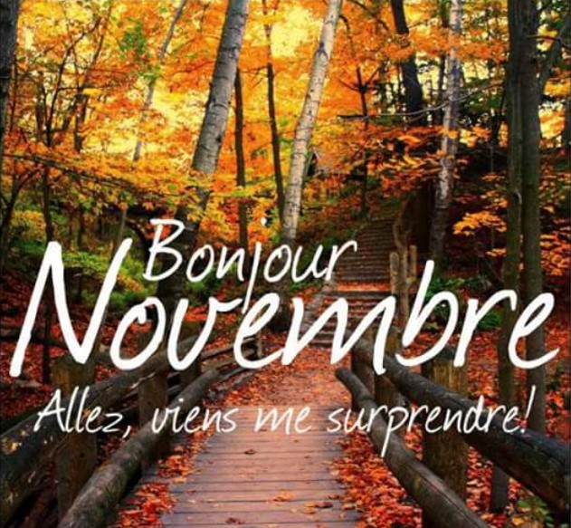 Aspect du mois de Novembre - Page 3 2015-135
