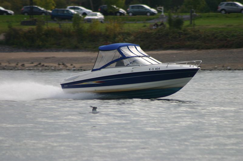 Kleiner Rheinbummel am 21.10.15 in Koblenz und Mondorf 3010