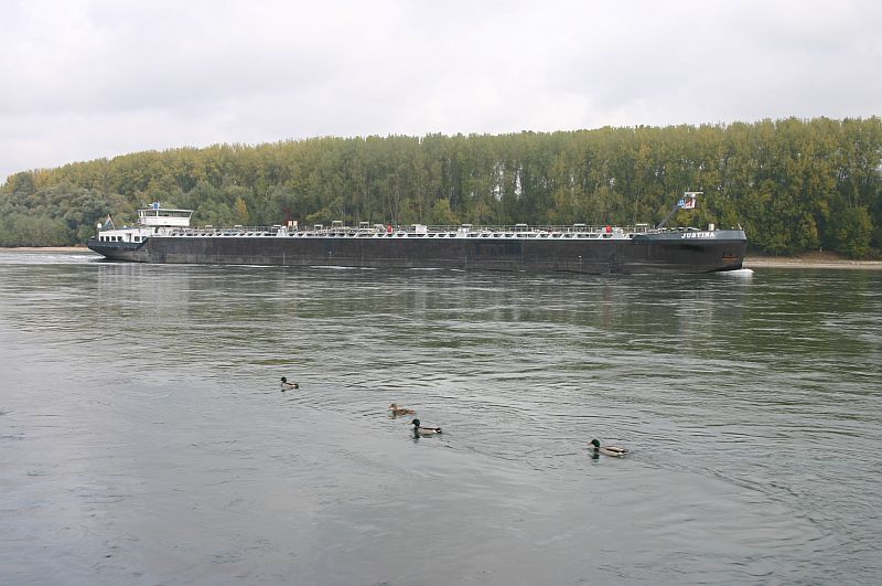 Kleiner Rheinbummel am 21.10.15 in Koblenz und Mondorf 518