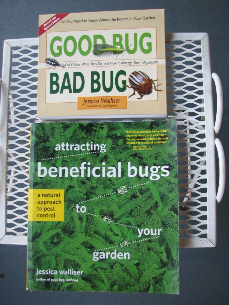 Good Bugs vs Bad Bugs 00210