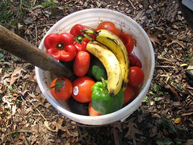 To Compost or not to Compost that is the question... - Page 2 10_23_10