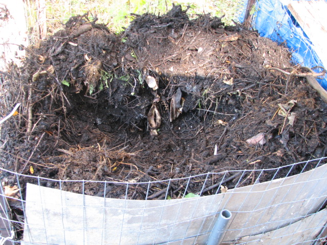 To Compost or not to Compost that is the question... - Page 2 10_23_12