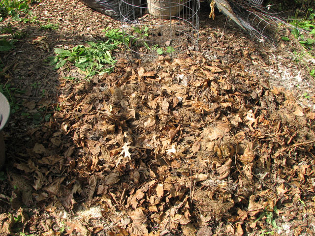 To Compost or not to Compost that is the question... Compos13