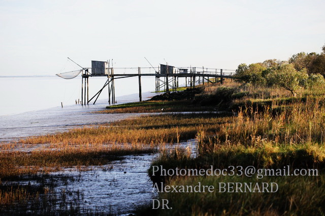 Les rives de l'Estuaire de la Gironde vu par Alexandre Bernard 1v4b5513