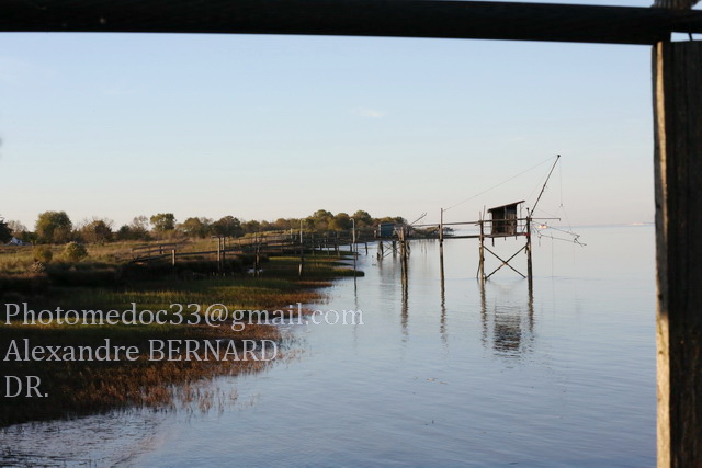 Les rives de l'Estuaire de la Gironde vu par Alexandre Bernard 1v4b5514