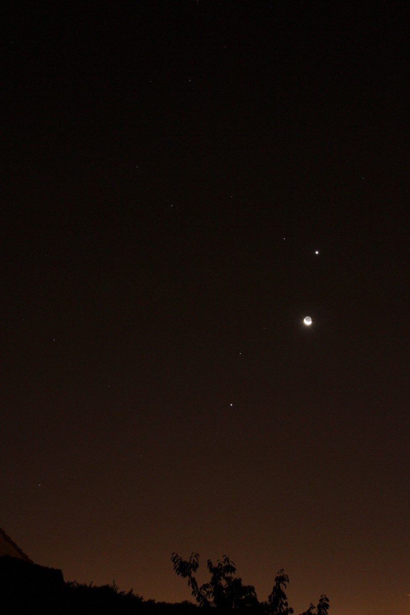Lune et Venus au petit matin du 10/12/2012 Conjon13