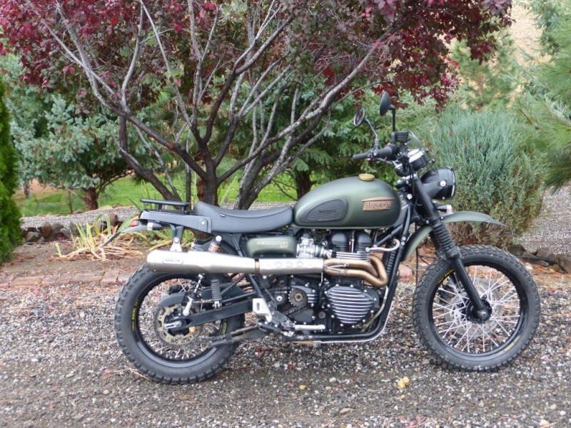 Triumph Scrambler.... Scrr10