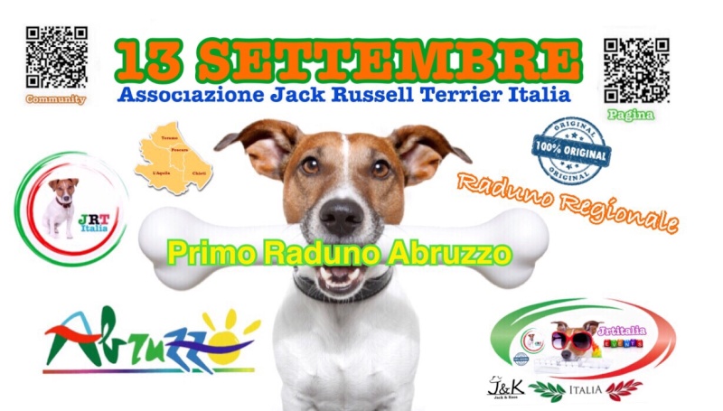russell - 1-o RADUNO Abruzzo- Jack Russell Terrier Italia 11057710