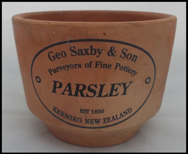 Kermiko terracotta parsley herb pot for gallery Dscn5442
