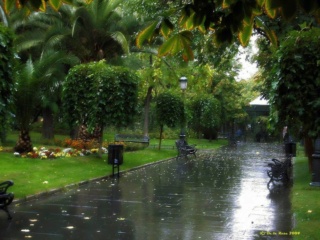 ¡Me encanta ver llover! Llueve15