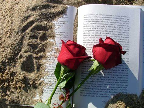 “Fiesta del libro y de la rosa” -Soneto Inglés-   Sanjor10